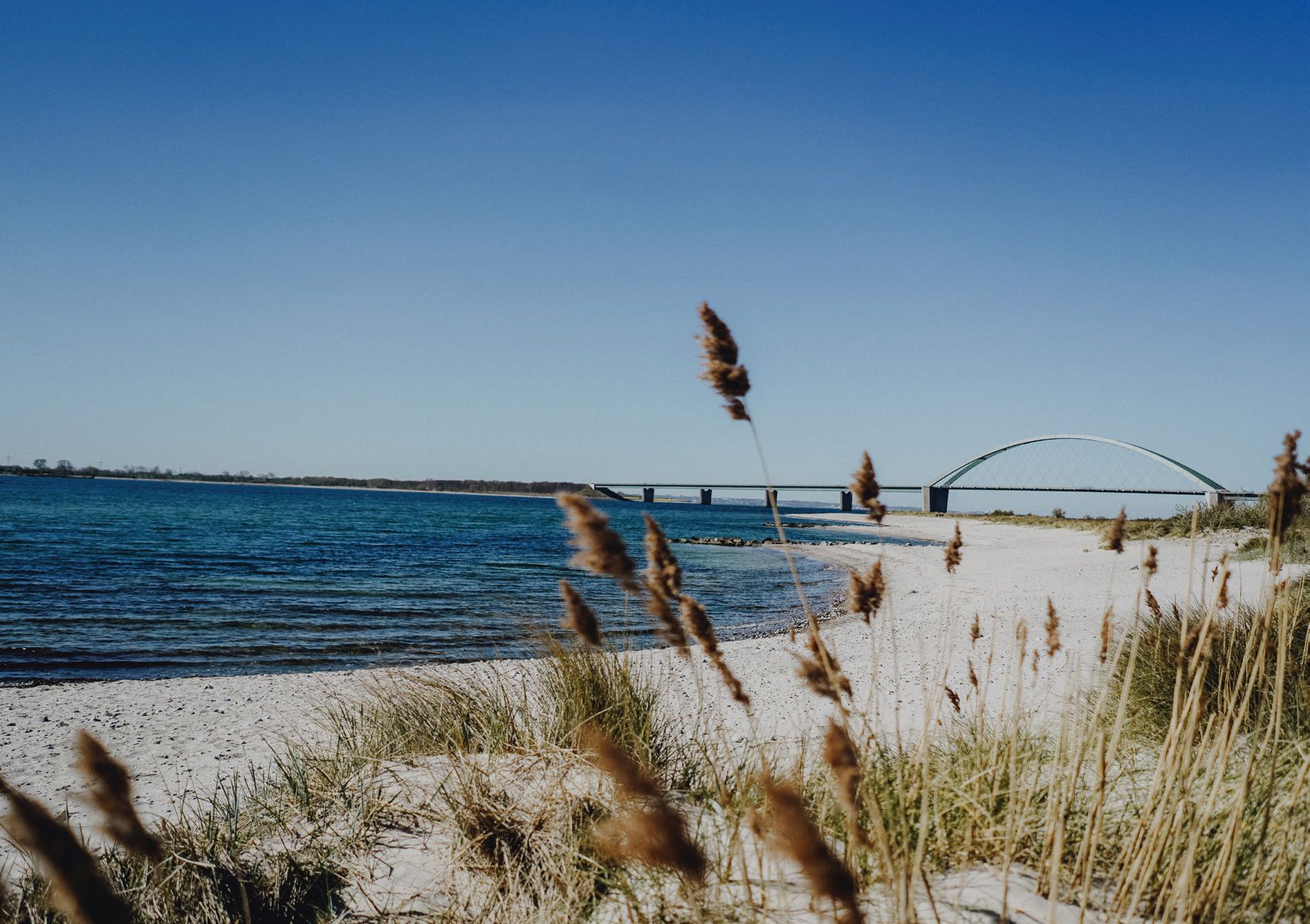 Großes Ehemaligentreffen – Life Challenge Fehmarn