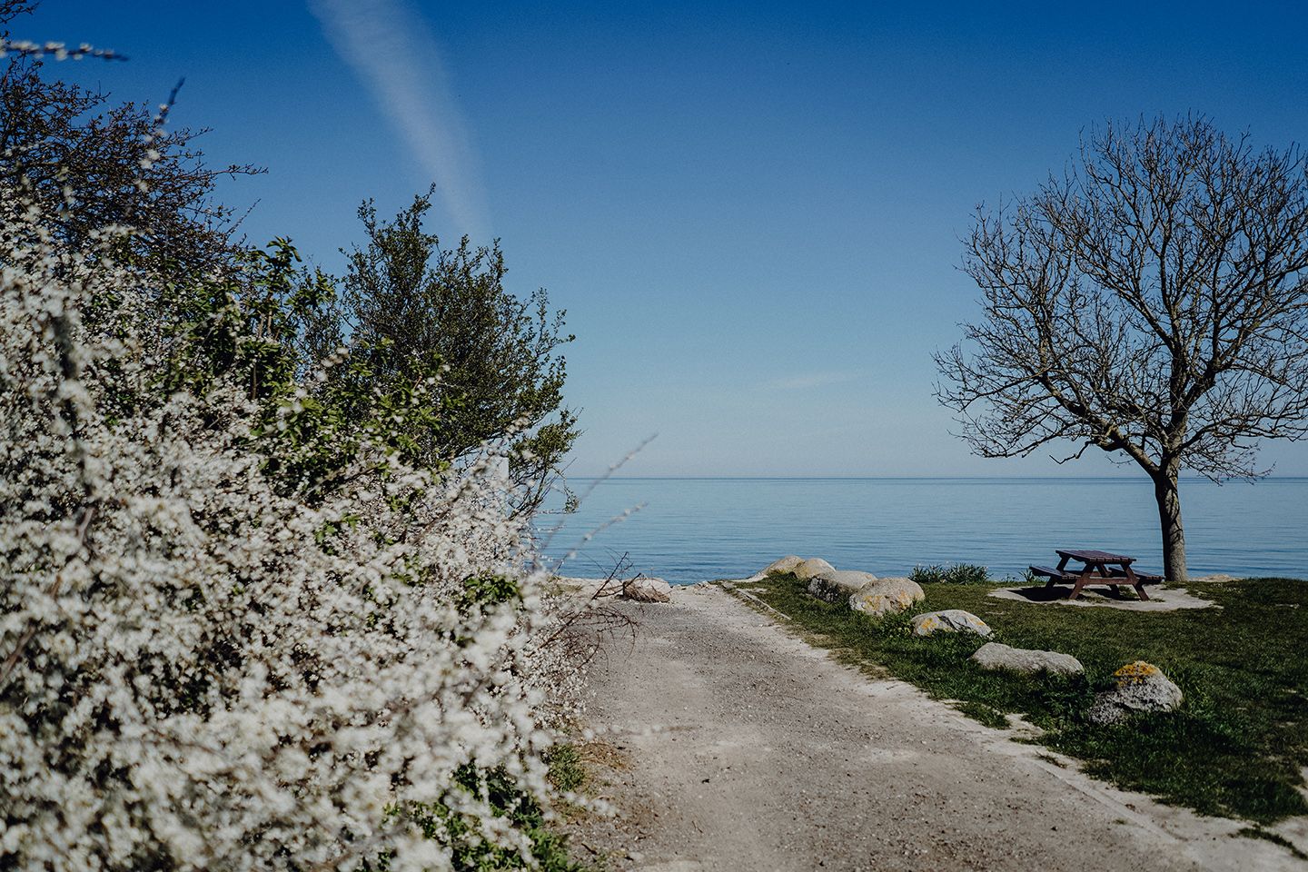 Fr&uuml;hling auf Fehmarn